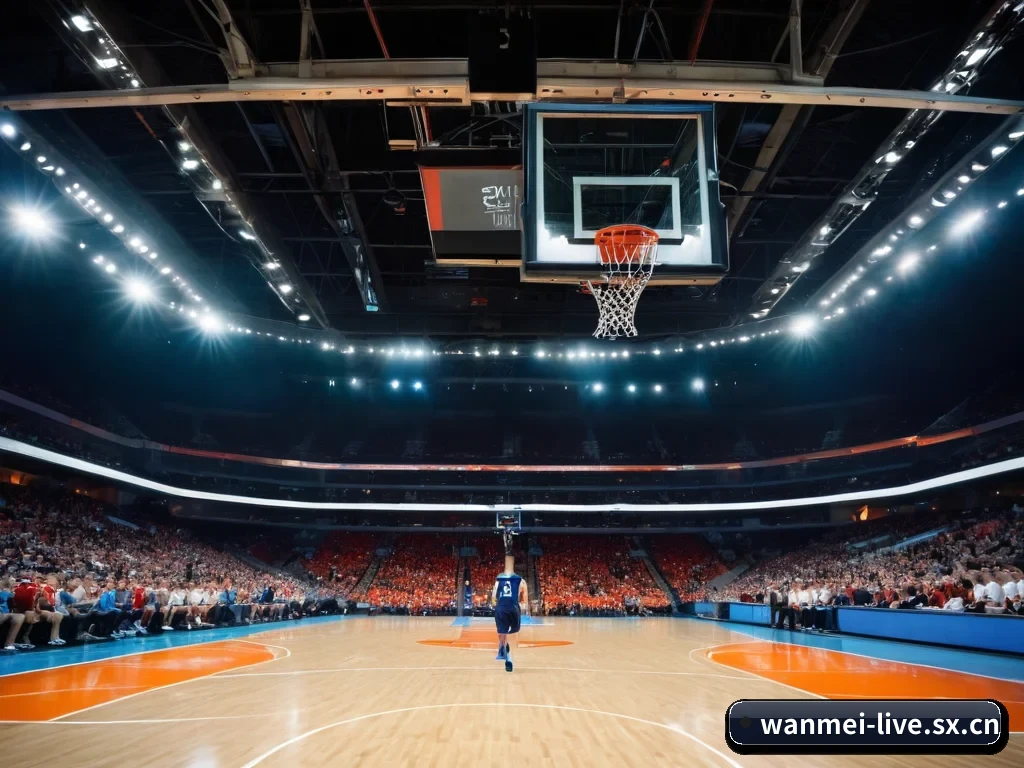 完美体育 APP 界面(wmsports)